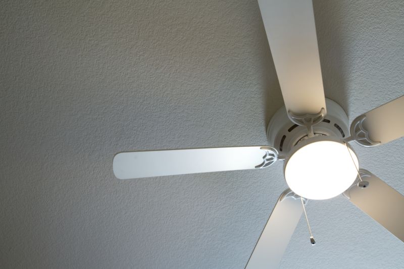 Ceiling Fan And Light Fixture Installation By A Handyman